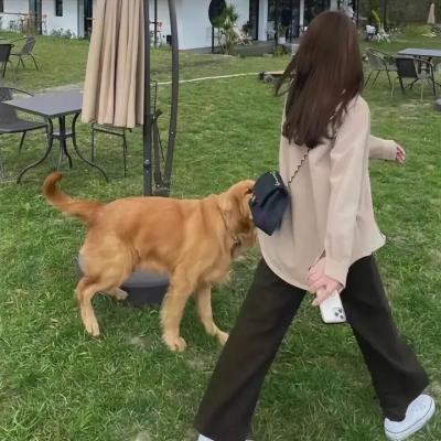 天地无限