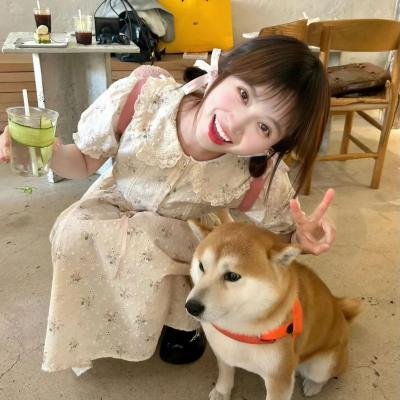 伊朗式分手